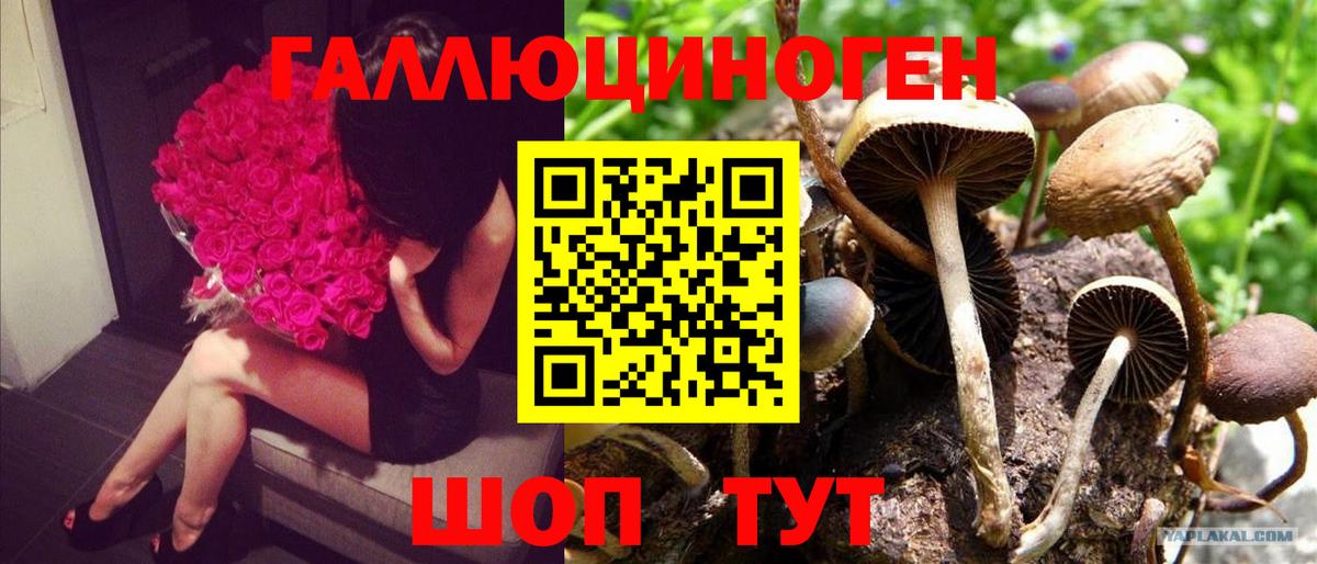 Псилоцибиновые грибы MAGIC MUSHROOMS  Вход с VPN  Малгобек  Галлюциногенные грибы ЛСД 